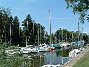 TN_bm01c.JPG (5079 bytes)