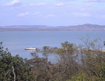reg06.GIF (13133 bytes)